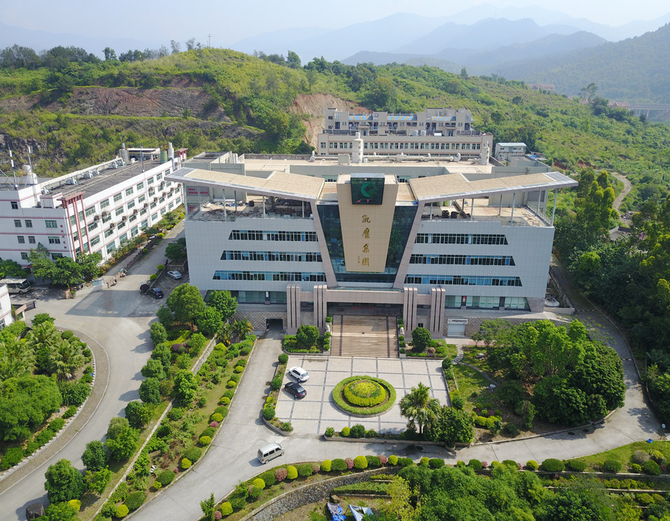 旧厂办公室仰视图_副本.jpg